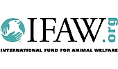 IFAW